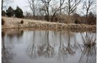 Property photo 2 - ABSOLUTE AUCTION - 298 Acres Offered in 4 Tracts